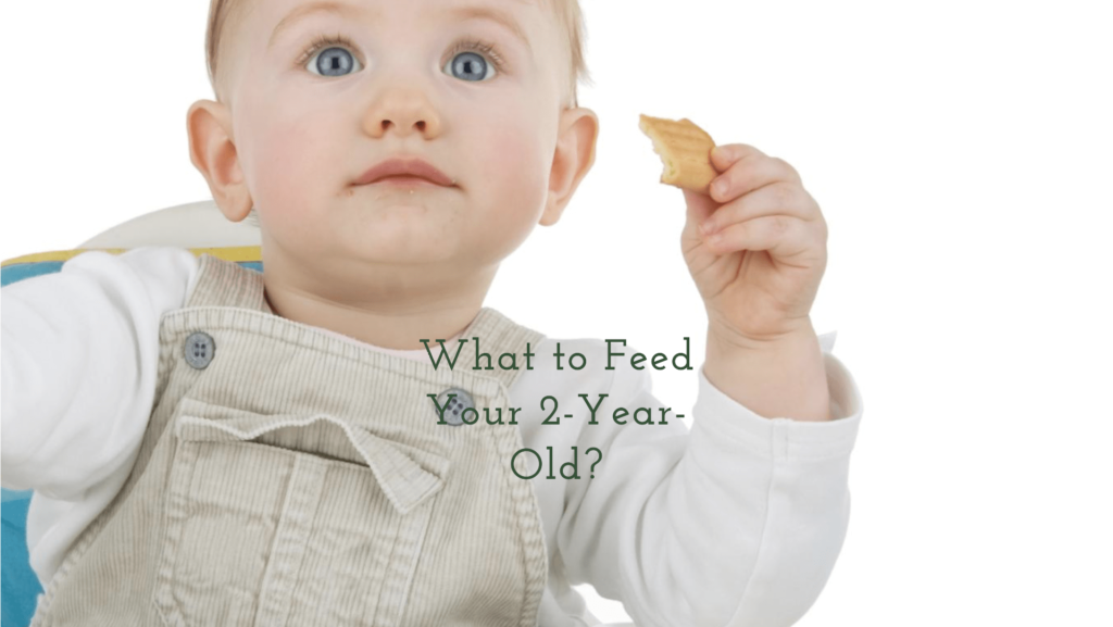 What to Feed Your 2-Year-Old